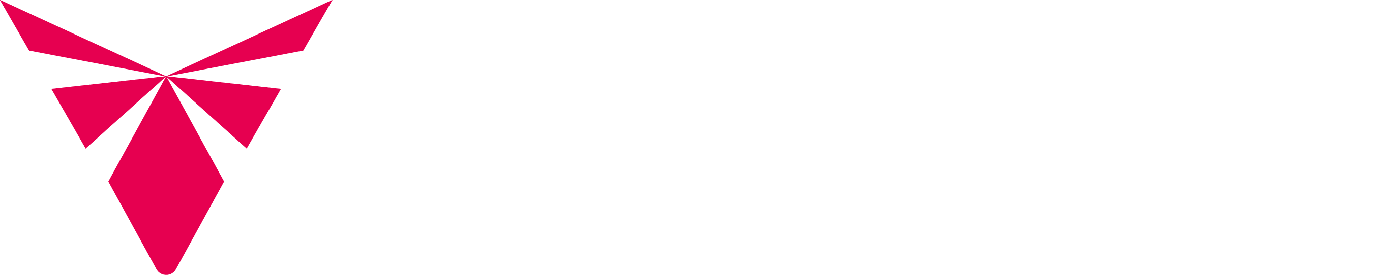 VALTOR Logo CRIMSON