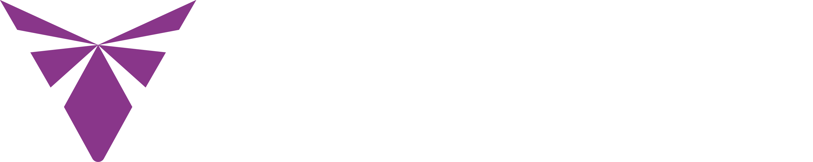 VALTOR Logo PURPLE